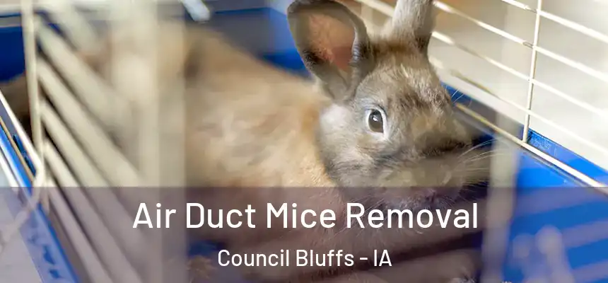  Air Duct Mice Removal Council Bluffs - IA