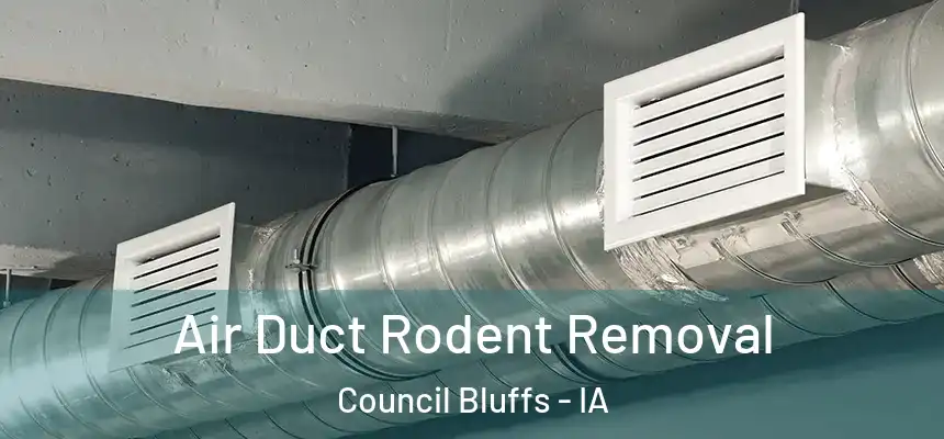  Air Duct Rodent Removal Council Bluffs - IA