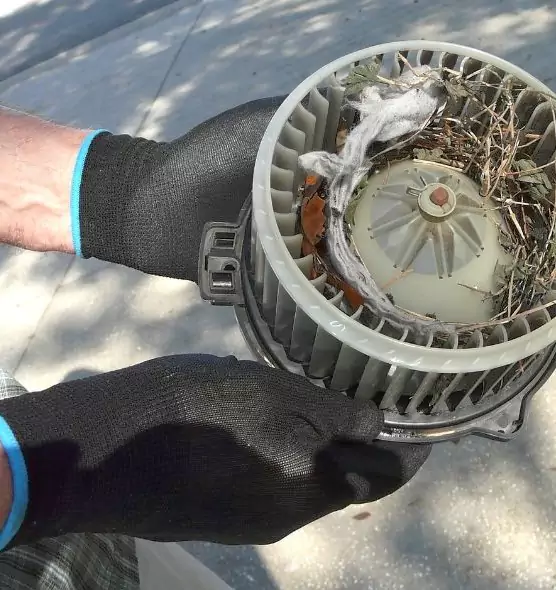 About Air Duct Mice Removal in Council Bluffs, IA